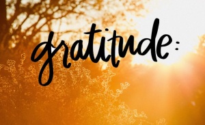 gratitude picture
